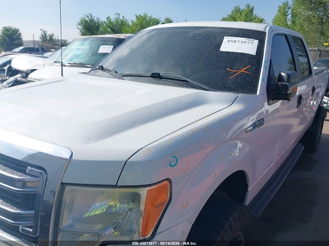 45873577 :رقم المزاد ، 1FTFW1EF5DFD70262 vin ، 2013 Ford F-150 Xlt مزاد بيع