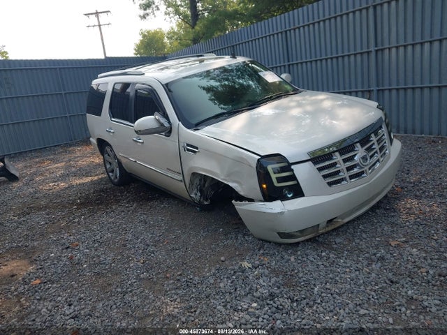 Продаж на аукціоні авто 2010 Cadillac Escalade Premium, vin: 1GYUKCEF7AR256377, номер лоту: 45873674