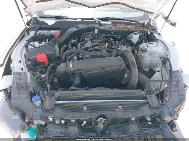 Ford Mustang Ecoboost Premium Fastback 2024 1FA6P8TH4R5145702 Image 10