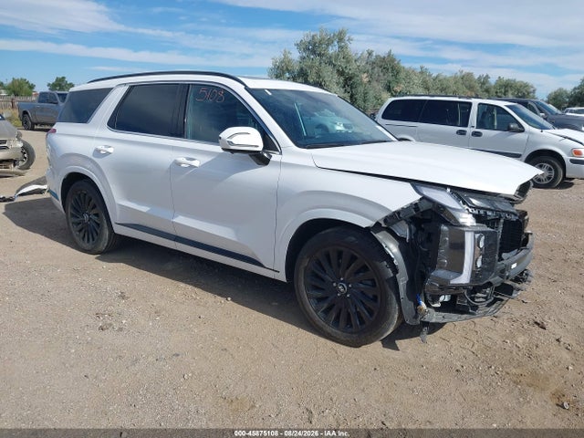 Hyundai Palisade Calligraphy Night Edition 2025 KM8R7DGE9SU942745 главное изображение