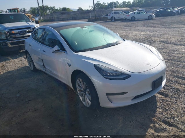 45875996 :رقم المزاد ، 5YJ3E1EA1KF466563 vin ، 2019 Tesla Model 3 Long Range/mid Range/standard Range/standard Range Plus مزاد بيع