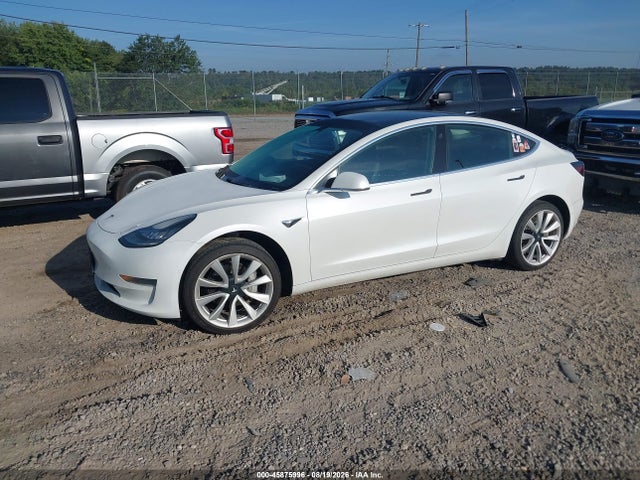 45875996 :رقم المزاد ، 5YJ3E1EA1KF466563 vin ، 2019 Tesla Model 3 Long Range/mid Range/standard Range/standard Range Plus مزاد بيع