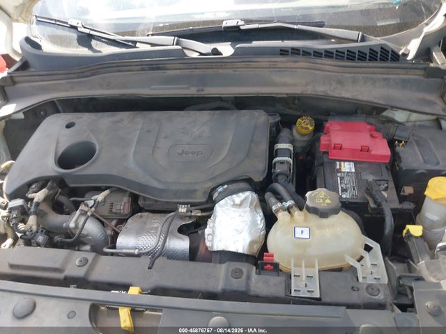 45876757 :رقم المزاد ، ZACNJBC12KPJ89800 vin ، 2019 Jeep Renegade Trailhawk 4x4 مزاد بيع