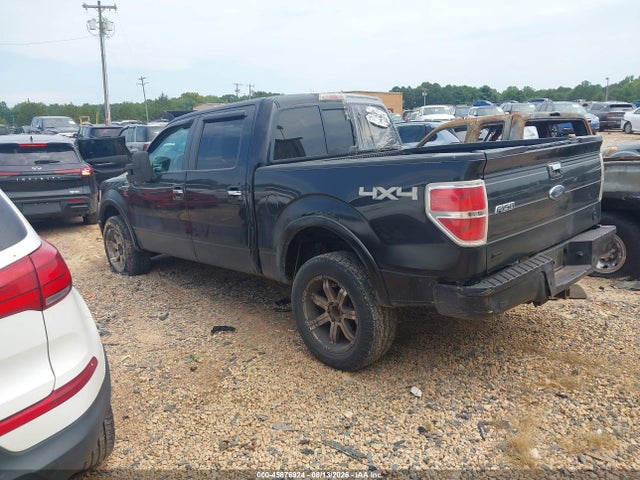45876924 :رقم المزاد ، 1FTFW1EV5AFA15577 vin ، 2010 Ford F-150 Fx4/harley-davidson/king Ranch/lariat/platinum/xl/xlt مزاد بيع
