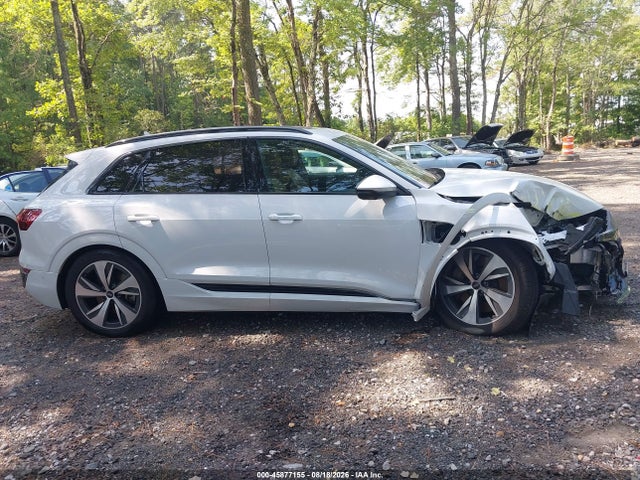 WA15AAGE3RB030681 Audi Q8 E-tron Premium Plus Quattro