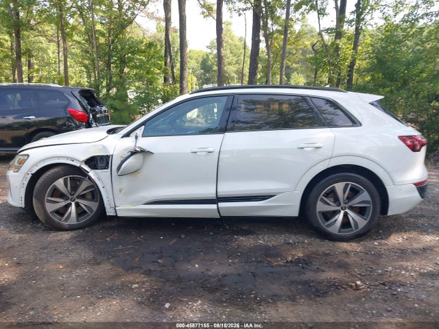 WA15AAGE3RB030681 Audi Q8 E-tron Premium Plus Quattro