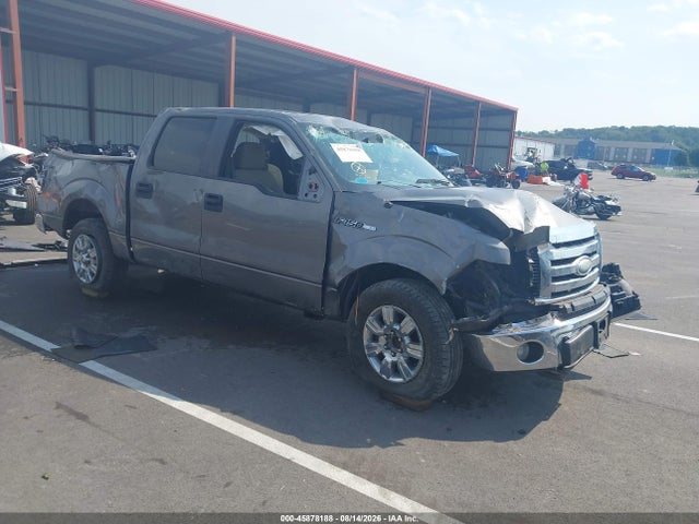 Auction sale of the 2009 Ford F-150 King Ranch/lariat/platinum/xl/xlt, vin: 1FTPW12V69FB27230, lot number: 45878188