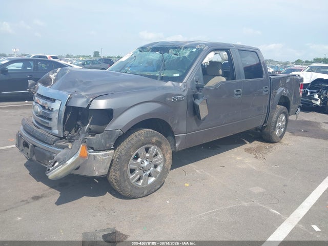 Продажа на аукционе авто 2009 Ford F-150 King Ranch/lariat/platinum/xl/xlt, vin: 1FTPW12V69FB27230, номер лота: 45878188
