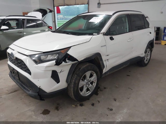 2T3MWRFV8KW003184 Toyota Rav4 Hybrid Le