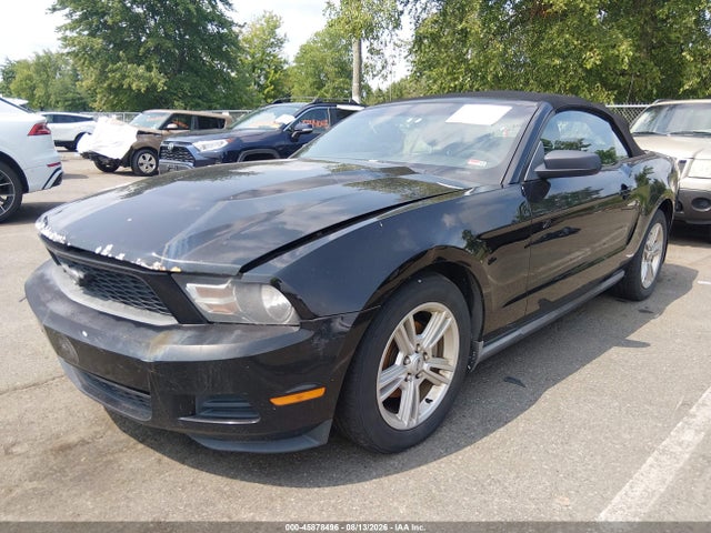 2010 Ford Mustang V6/v6 Premium მანქანა იყიდება აუქციონზე, vin: 1ZVBP8EN0A5128604, აუქციონის ნომერი: 45878496