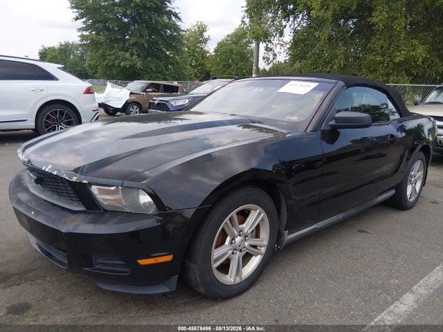 2010 Ford Mustang V6/v6 Premium მანქანა იყიდება აუქციონზე, vin: 1ZVBP8EN0A5128604, აუქციონის ნომერი: 45878496