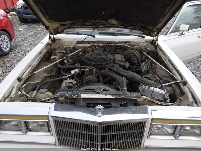 Продаж на аукціоні авто 1986 Chrysler Fifth Avenue, vin: 1C3BF66P3GX569171, номер лоту: 45879076
