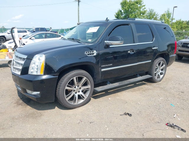 Продажа на аукционе авто 2012 Cadillac Escalade Platinum Edition, vin: 1GYS4DEFXCR290243, номер лота: 45879660