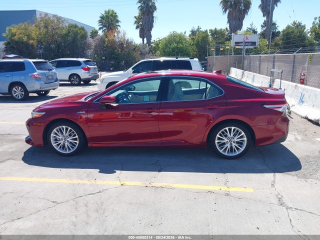 Toyota Camry Hybrid Xle 2020 4T1F31AK6LU012525 Image 14