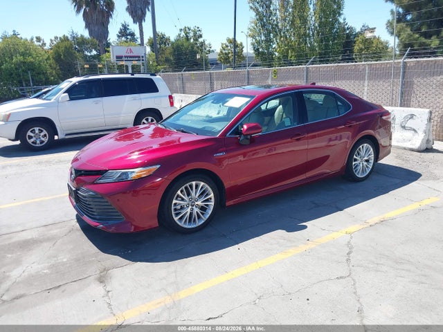 Toyota Camry Hybrid Xle 2020 4T1F31AK6LU012525 Image 2
