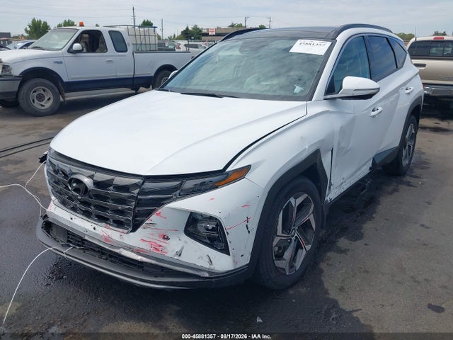 Продажа на аукционе авто 2024 Hyundai Tucson Limited, vin: 5NMJECDEXRH382998, номер лота: 45881357