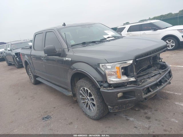 45882433 :رقم المزاد ، 1FTEW1EP2KFA35929 vin ، 2019 Ford F-150 Xlt مزاد بيع