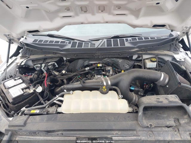 45883202 :رقم المزاد ، 1FTEW1EP4MFA07701 vin ، 2021 Ford F-150 Xl مزاد بيع