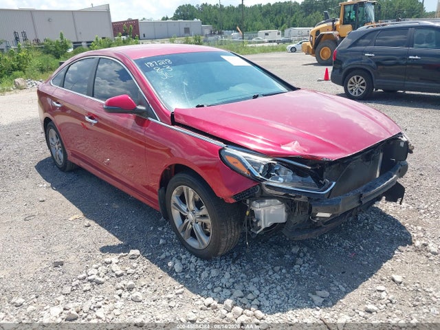 2019 Hyundai Sonata Sel მანქანა იყიდება აუქციონზე, vin: 5NPE34AF7KH737290, აუქციონის ნომერი: 45884384