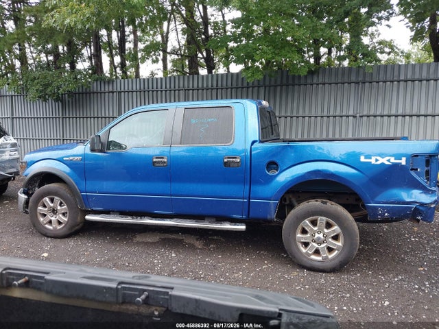 Продаж на аукціоні авто 2013 Ford F-150 Xlt, vin: 1FTFW1EF1DFB16774, номер лоту: 45886392