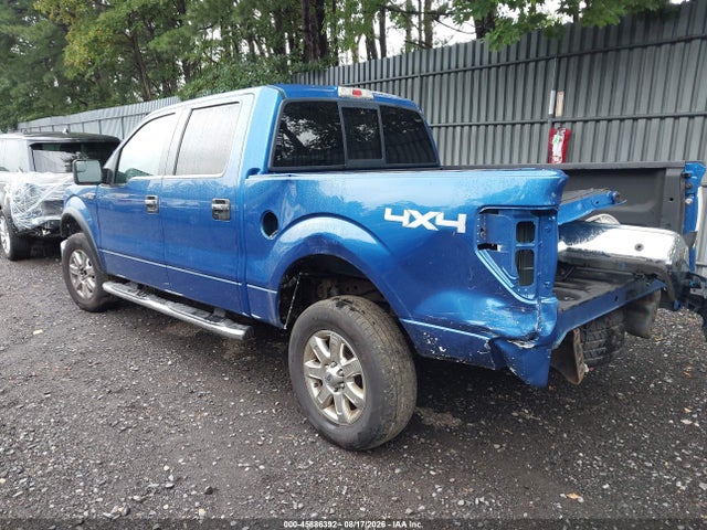 Продаж на аукціоні авто 2013 Ford F-150 Xlt, vin: 1FTFW1EF1DFB16774, номер лоту: 45886392