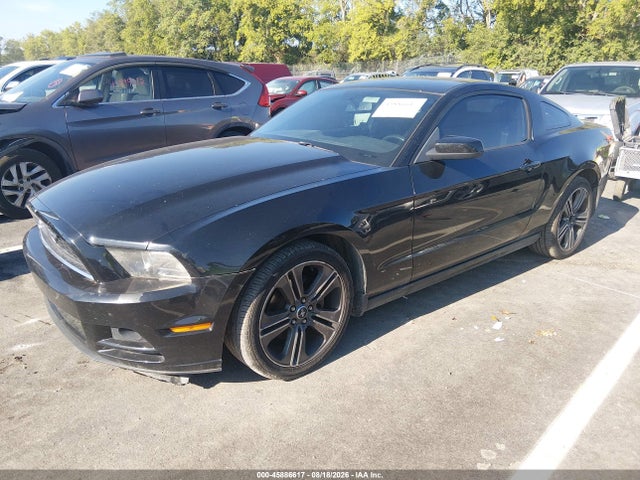 2013 Ford Mustang V6 მანქანა იყიდება აუქციონზე, vin: 1ZVBP8AM8D5263220, აუქციონის ნომერი: 45886617