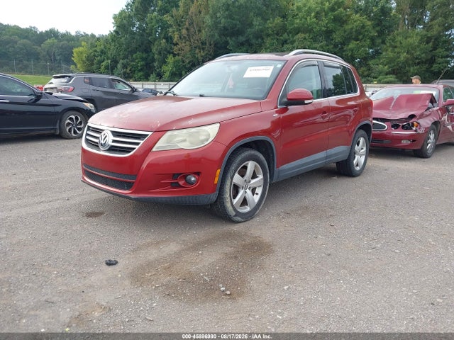 Продаж на аукціоні авто 2010 Volkswagen Tiguan Wolfsburg Edition, vin: WVGAV7AX6AW002288, номер лоту: 45886980