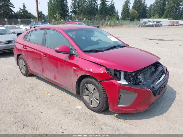 Auction sale of the 2019 Hyundai Ioniq Hybrid Blue, vin: KMHC65LCXKU174289, lot number: 45887088
