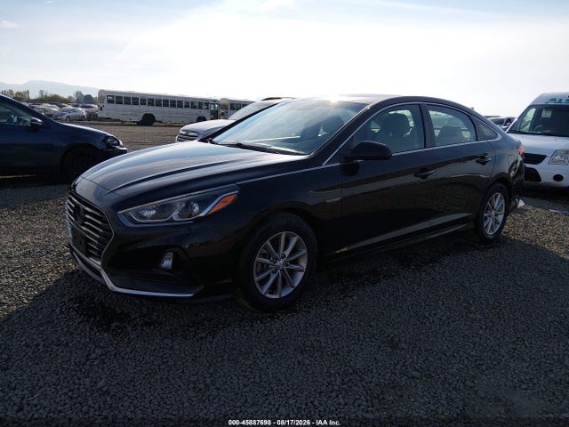5NPE24AA1JH692207 Hyundai SONATA ECO