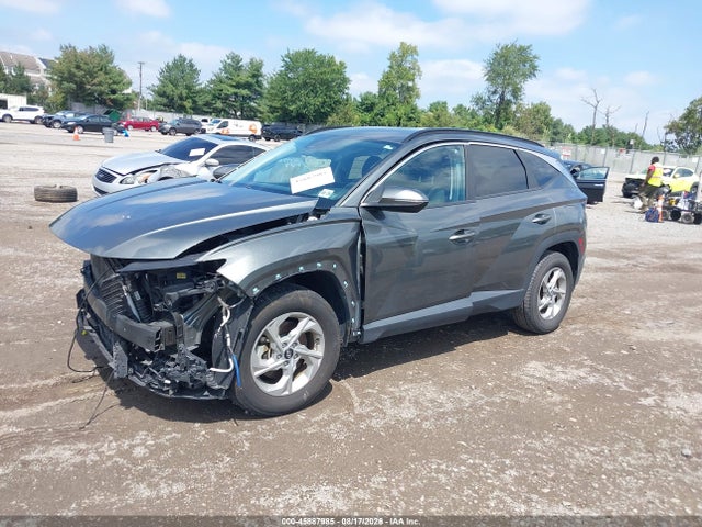 Продаж на аукціоні авто 2023 Hyundai Tucson Sel, vin: 5NMJBCAEXPH270437, номер лоту: 45887985