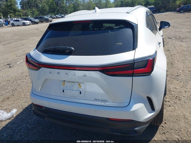 45888416 :رقم المزاد ، 2T2GGCEZ5SC093217 vin ، 2025 Lexus Nx 350 Premium مزاد بيع