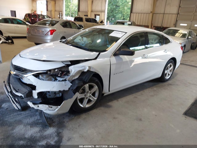 Продаж на аукціоні авто 2020 Chevrolet Malibu Fwd Ls, vin: 1G1ZB5ST4LF116303, номер лоту: 45889678