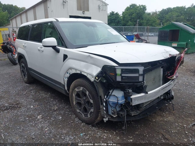 2025 Hyundai Santa Fe Se მანქანა იყიდება აუქციონზე, vin: 5NMP1DGLXSH110835, აუქციონის ნომერი: 45890384