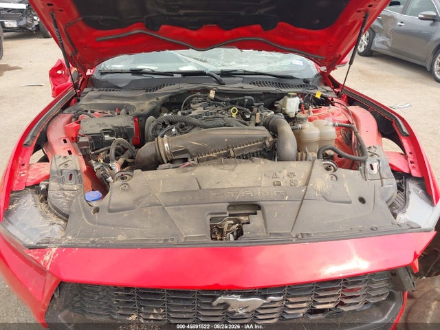 45891522 :رقم المزاد ، 1FA6P8TH2R5140224 vin ، 2024 Ford Mustang Ecoboost Premium Fastback مزاد بيع