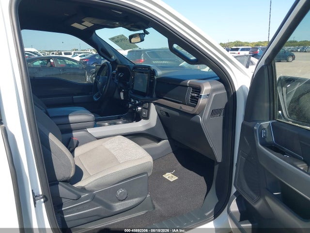 1FTEW3K55RKE39159 Ford F-150 Xlt