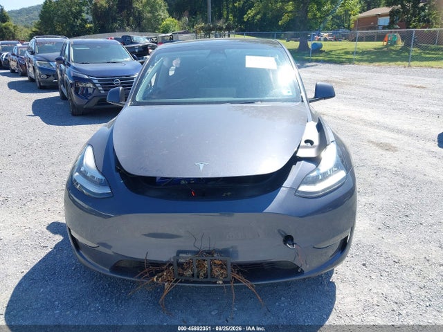 Aukcja sprzedaży 2023 Tesla Model Y Awd/long Range Dual Motor All-wheel Drive, vin: 7SAYGDEE0PA054467, numer aukcji: 45892351