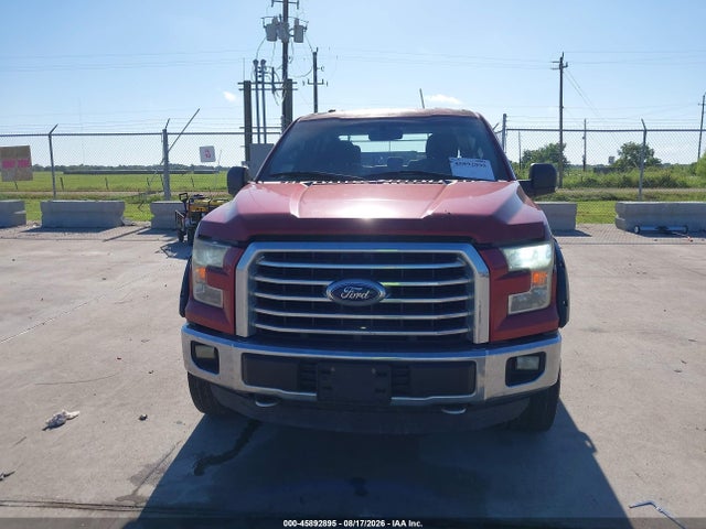 Ford F-150 Xlt 2015 1FTEW1EF7FKD19545 Image 12
