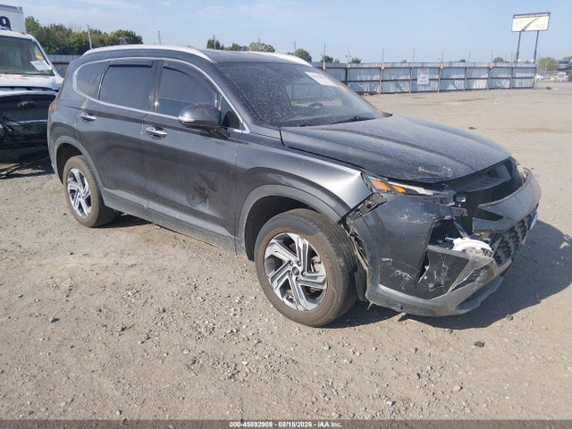 2023 Hyundai Santa Fe Sel მანქანა იყიდება აუქციონზე, vin: 5NMS2DAJ2PH561151, აუქციონის ნომერი: 45892909
