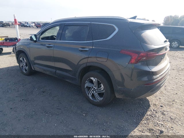 2023 Hyundai Santa Fe Sel მანქანა იყიდება აუქციონზე, vin: 5NMS2DAJ2PH561151, აუქციონის ნომერი: 45892909