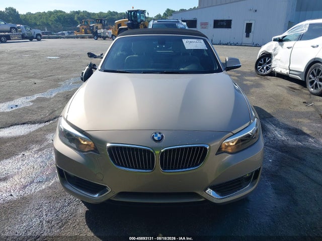 Продажа на аукционе авто 2017 Bmw 230i, vin: WBA2K9C38HV950356, номер лота: 45893131