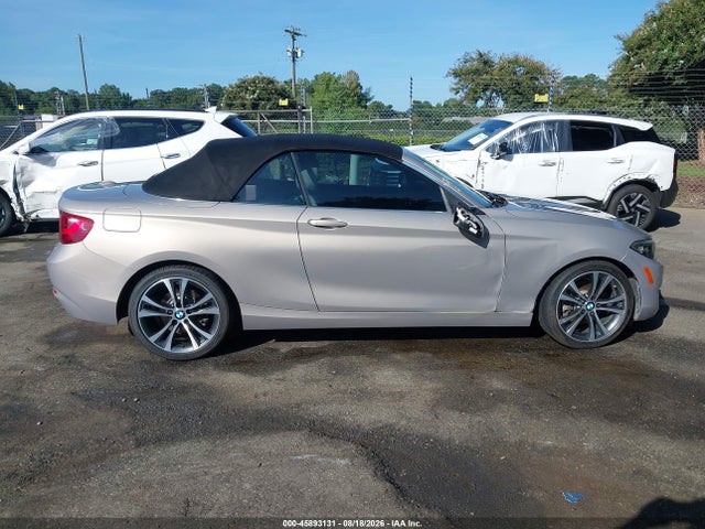 Продажа на аукционе авто 2017 Bmw 230i, vin: WBA2K9C38HV950356, номер лота: 45893131