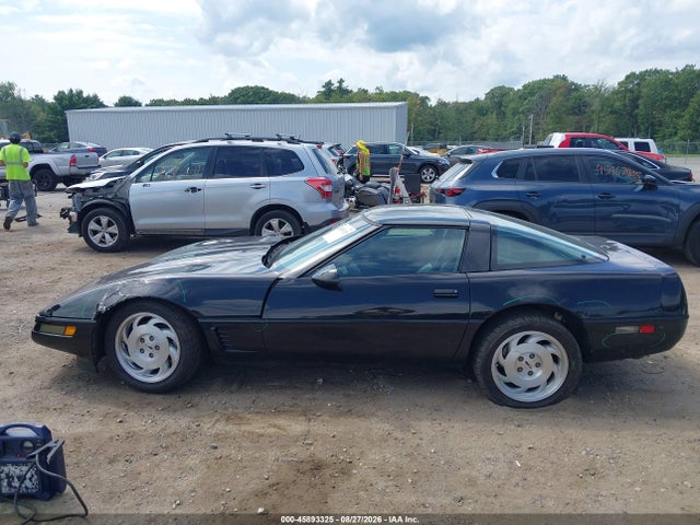 45893325 :رقم المزاد ، 1G1YY22P6T5107703 vin ، 1996 Chevrolet Corvette مزاد بيع