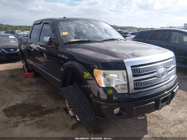 45893701 :رقم المزاد ، 1FTPW14V69FA89947 vin ، 2009 Ford F-150 Fx4/king Ranch/lariat/platinum/xl/xlt مزاد بيع