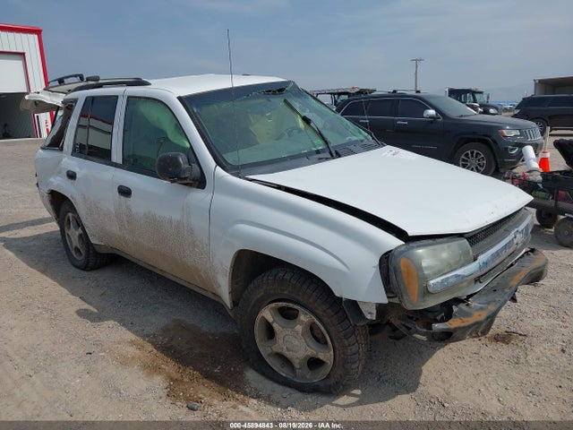 Продажа на аукционе авто 2008 Chevrolet Trailblazer Fleet, vin: 1GNDS13S982228293, номер лота: 45894843