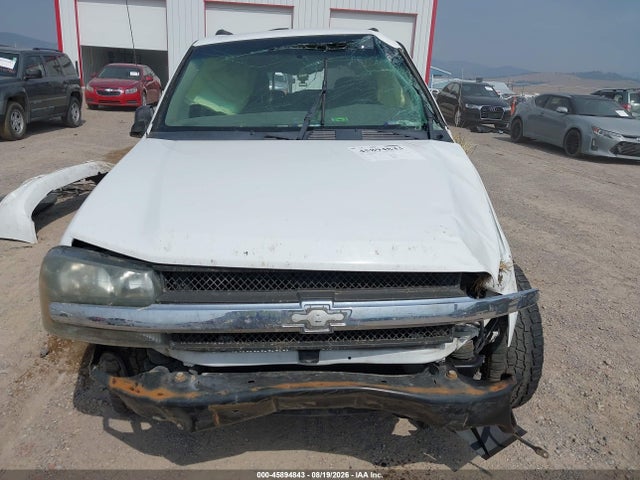 Продажа на аукционе авто 2008 Chevrolet Trailblazer Fleet, vin: 1GNDS13S982228293, номер лота: 45894843