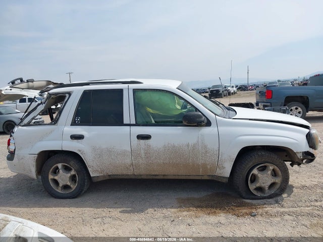 Продажа на аукционе авто 2008 Chevrolet Trailblazer Fleet, vin: 1GNDS13S982228293, номер лота: 45894843