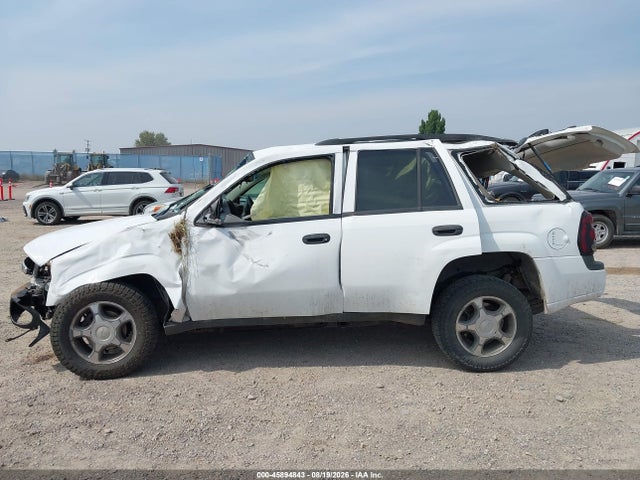 Продажа на аукционе авто 2008 Chevrolet Trailblazer Fleet, vin: 1GNDS13S982228293, номер лота: 45894843