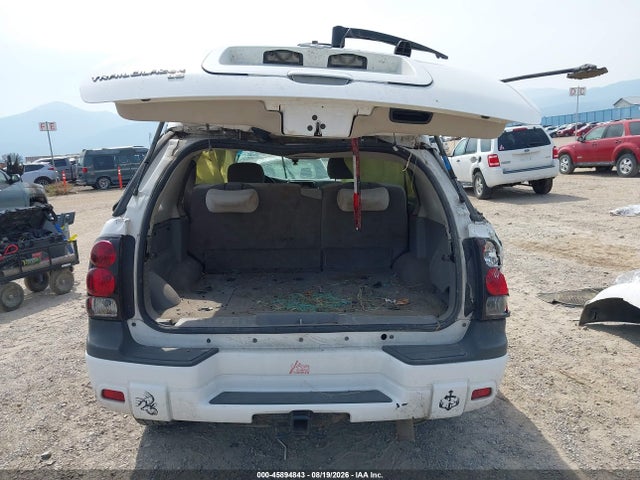 Продажа на аукционе авто 2008 Chevrolet Trailblazer Fleet, vin: 1GNDS13S982228293, номер лота: 45894843