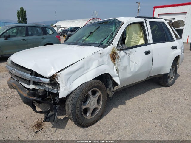 Продажа на аукционе авто 2008 Chevrolet Trailblazer Fleet, vin: 1GNDS13S982228293, номер лота: 45894843