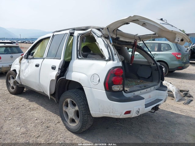 Продажа на аукционе авто 2008 Chevrolet Trailblazer Fleet, vin: 1GNDS13S982228293, номер лота: 45894843